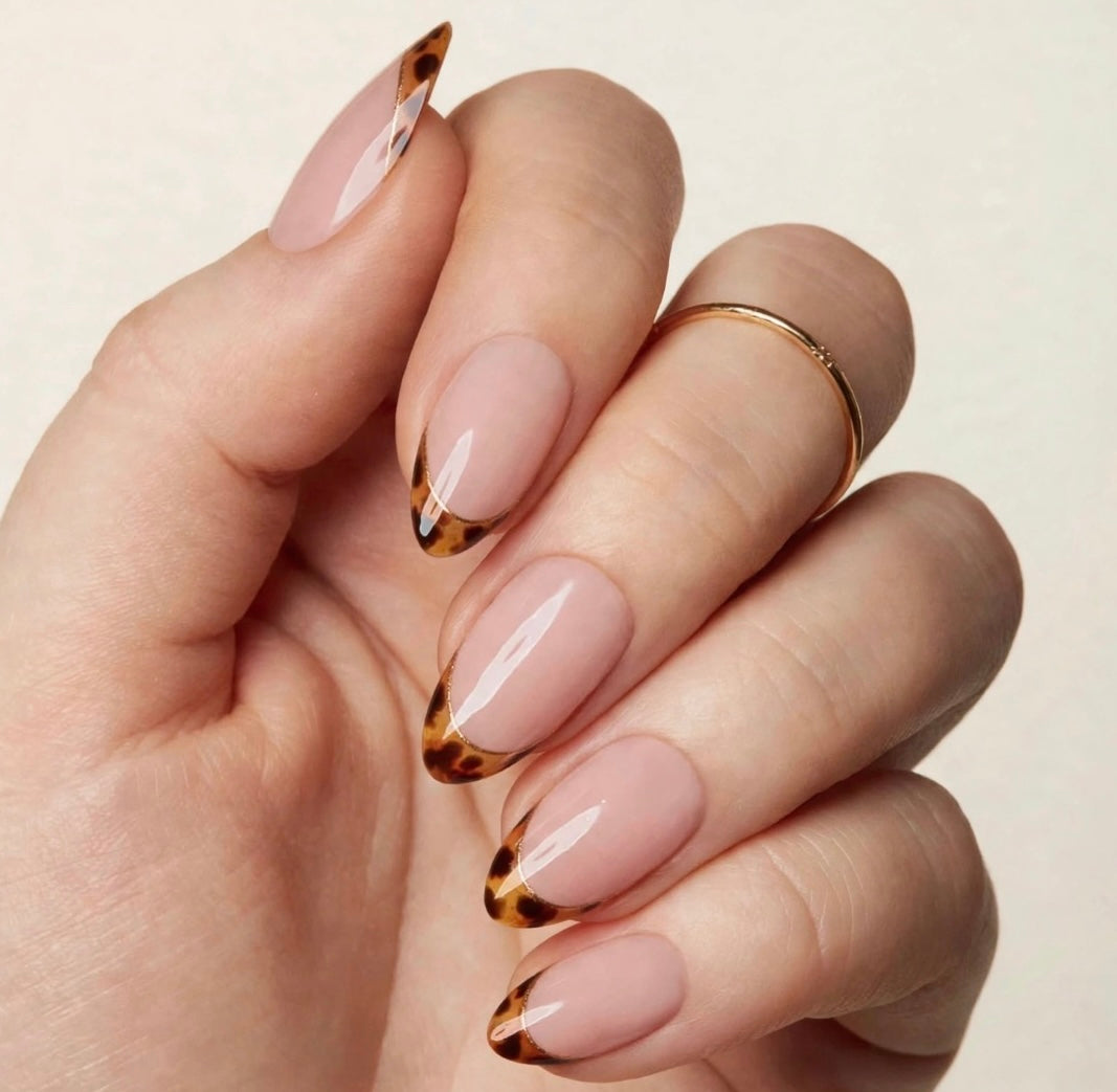 Tortoise French Short Almond